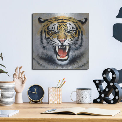 Luxe Metal Art 'Tiger' by Harro Maass, Metal Wall Art,12x12