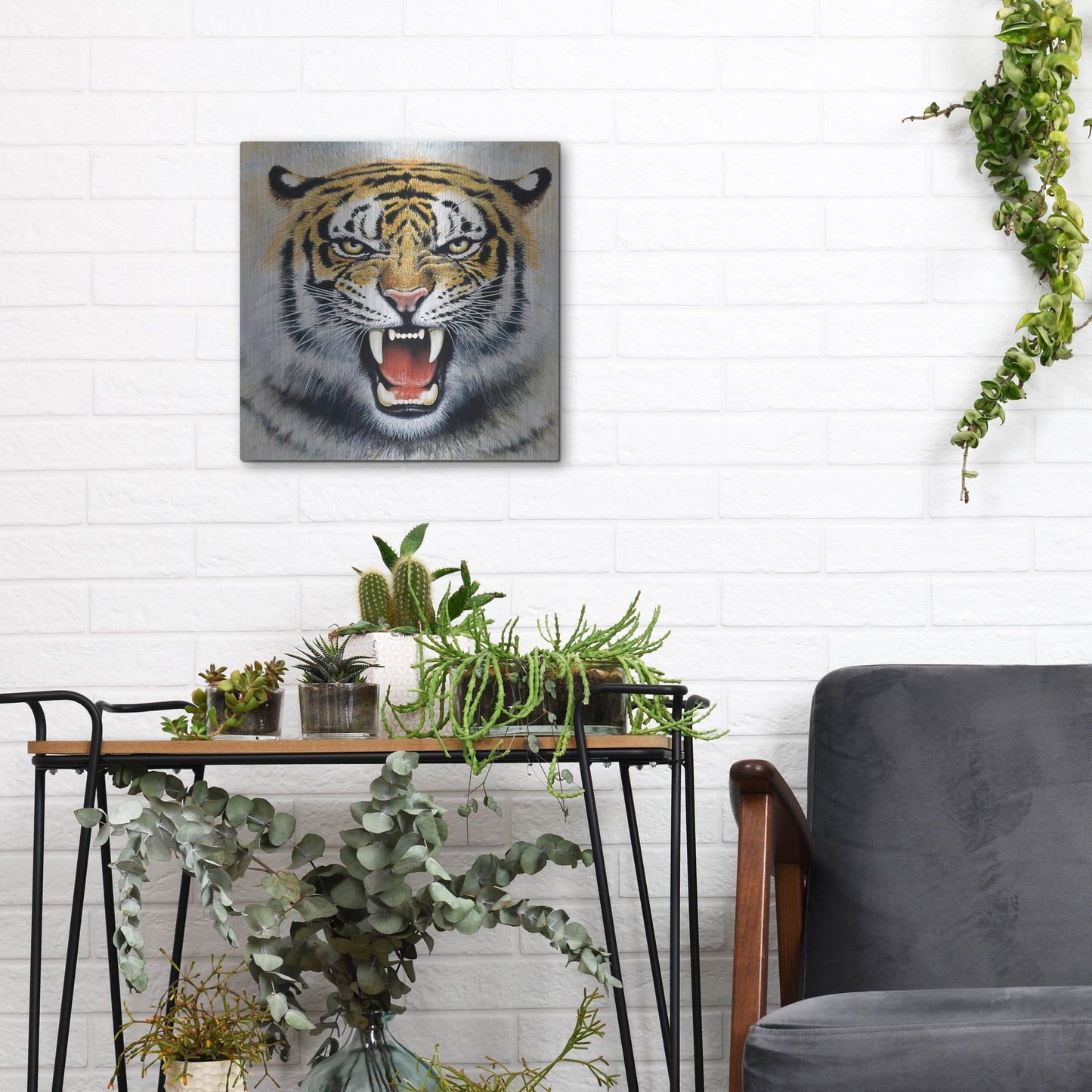 Luxe Metal Art 'Tiger' by Harro Maass, Metal Wall Art,12x12