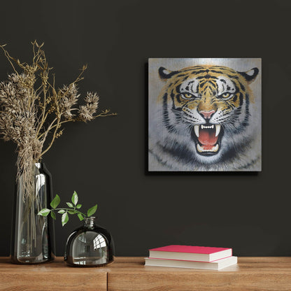 Luxe Metal Art 'Tiger' by Harro Maass, Metal Wall Art,12x12