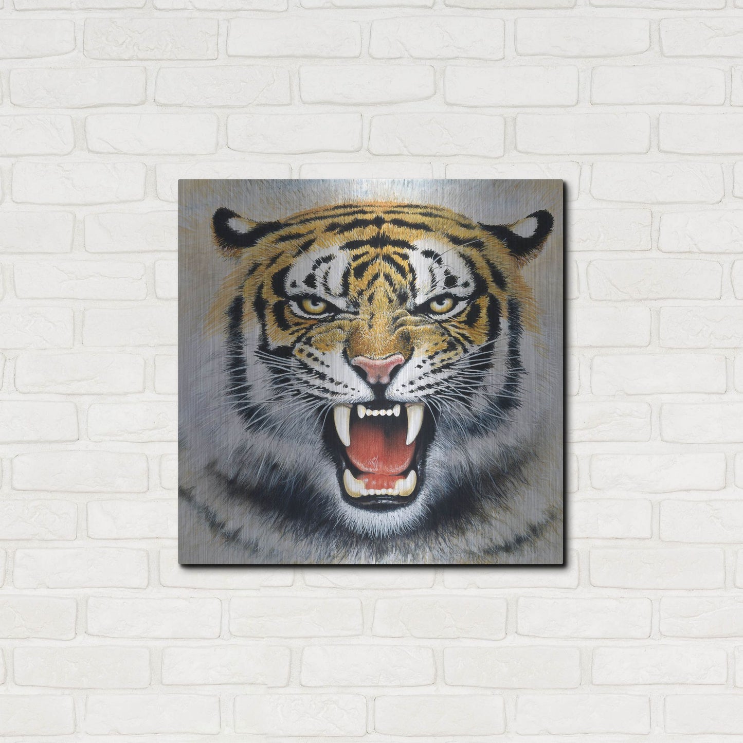 Luxe Metal Art 'Tiger' by Harro Maass, Metal Wall Art,24x24
