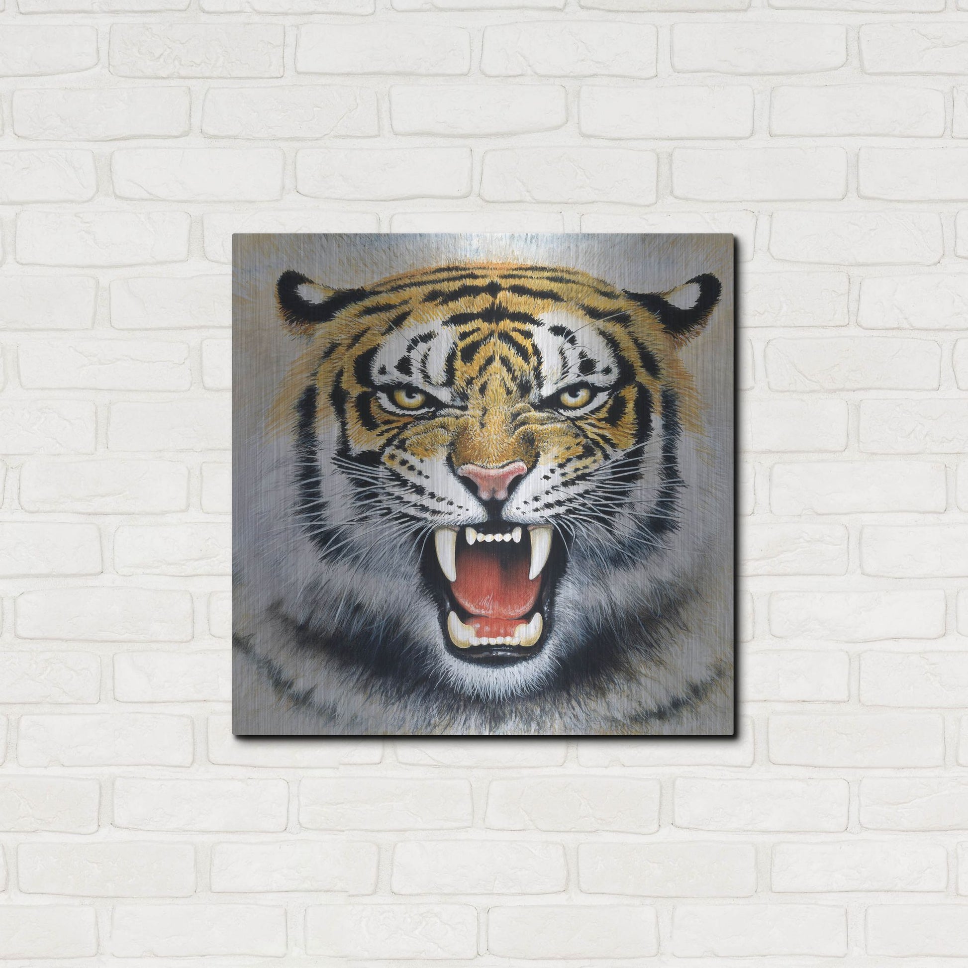 Luxe Metal Art 'Tiger' by Harro Maass, Metal Wall Art,24x24