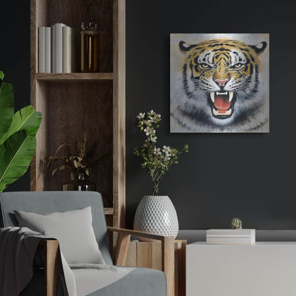 Luxe Metal Art 'Tiger' by Harro Maass, Metal Wall Art,24x24
