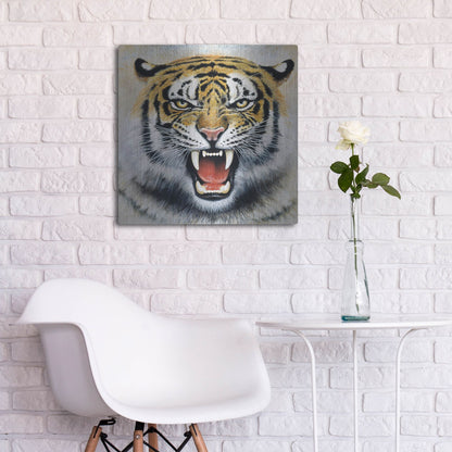 Luxe Metal Art 'Tiger' by Harro Maass, Metal Wall Art,24x24