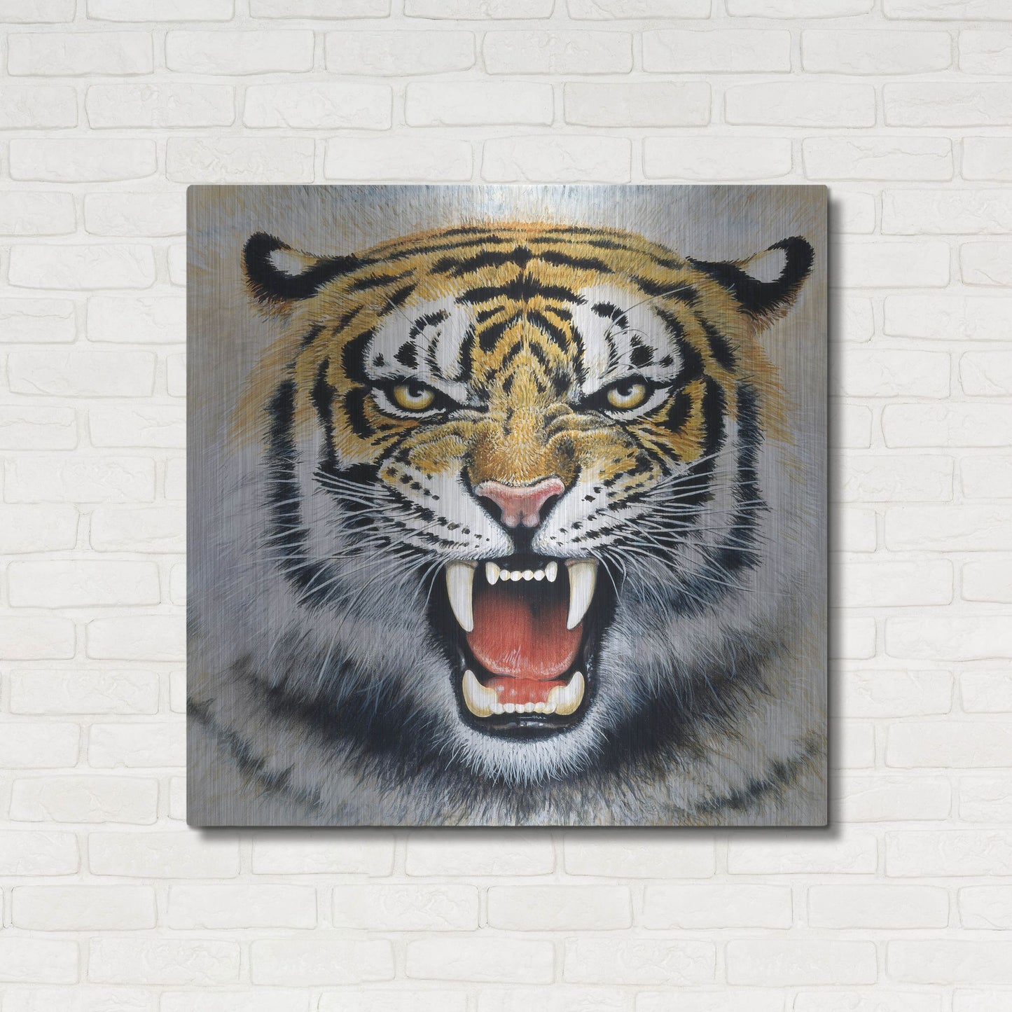 Luxe Metal Art 'Tiger' by Harro Maass, Metal Wall Art,36x36