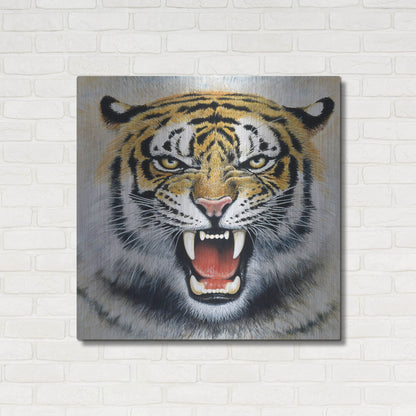 Luxe Metal Art 'Tiger' by Harro Maass, Metal Wall Art,36x36