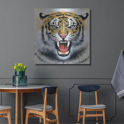 Luxe Metal Art 'Tiger' by Harro Maass, Metal Wall Art,36x36