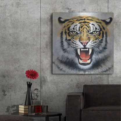 Luxe Metal Art 'Tiger' by Harro Maass, Metal Wall Art,36x36