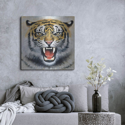 Luxe Metal Art 'Tiger' by Harro Maass, Metal Wall Art,36x36
