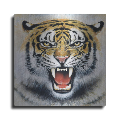Luxe Metal Art 'Tiger' by Harro Maass, Metal Wall Art