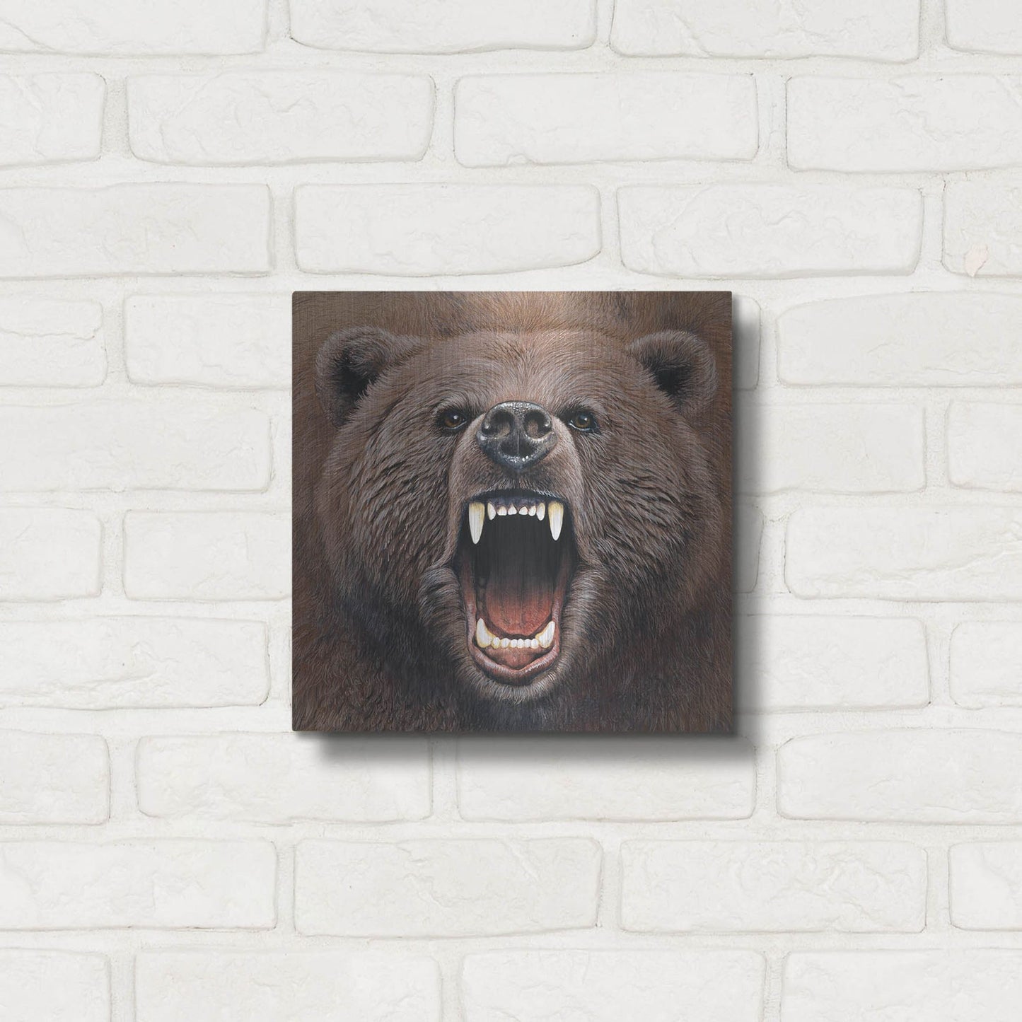 Luxe Metal Art 'Bear 2' by Harro Maass, Metal Wall Art,12x12