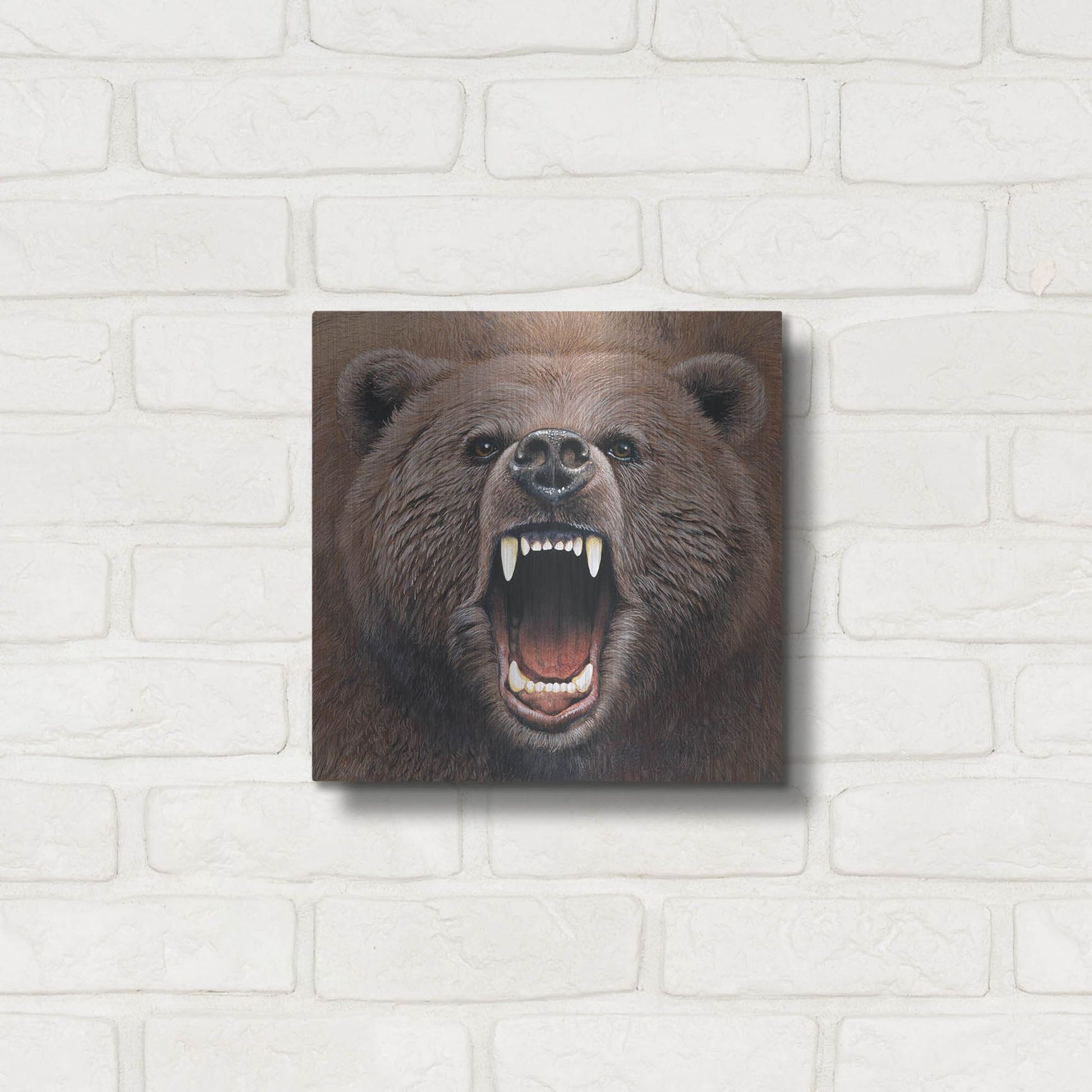 Luxe Metal Art 'Bear 2' by Harro Maass, Metal Wall Art,12x12