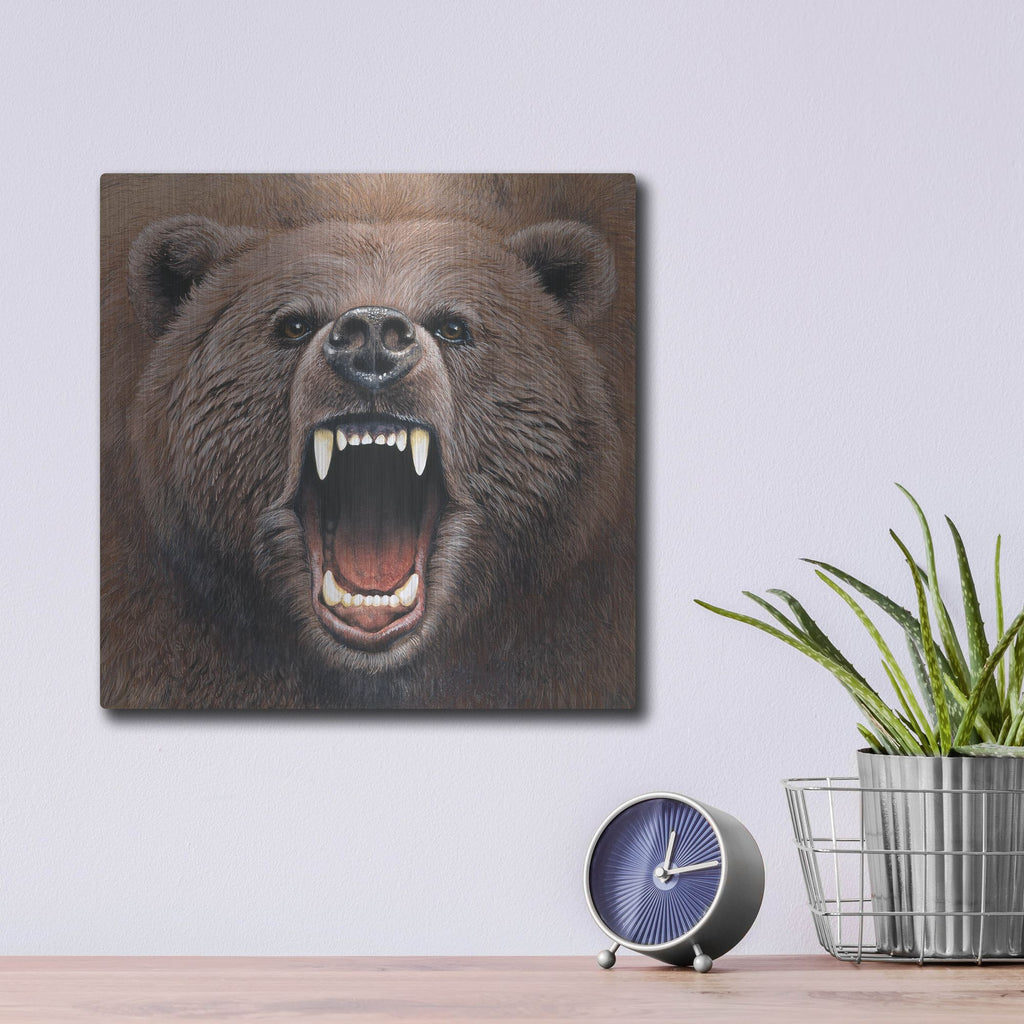 Luxe Metal Art 'Bear 2' by Harro Maass, Metal Wall Art,12x12