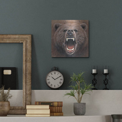 Luxe Metal Art 'Bear 2' by Harro Maass, Metal Wall Art,12x12