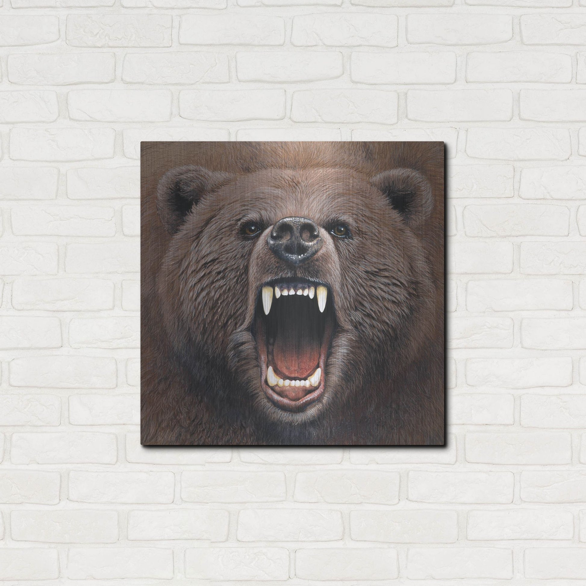 Luxe Metal Art 'Bear 2' by Harro Maass, Metal Wall Art,24x24