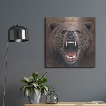 Luxe Metal Art 'Bear 2' by Harro Maass, Metal Wall Art,24x24