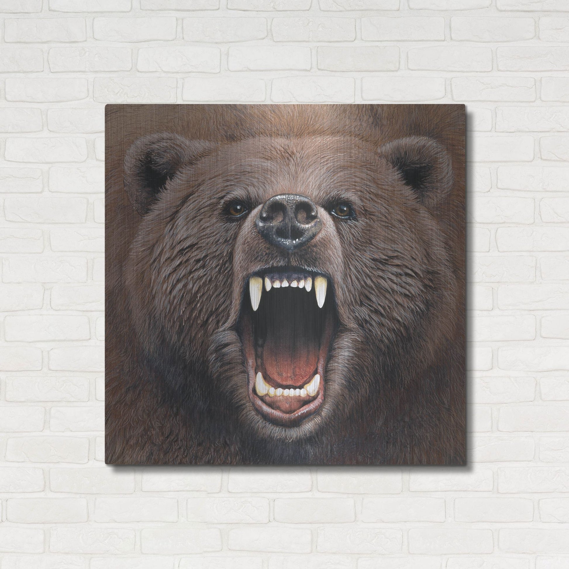 Luxe Metal Art 'Bear 2' by Harro Maass, Metal Wall Art,36x36