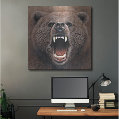 Luxe Metal Art 'Bear 2' by Harro Maass, Metal Wall Art,36x36