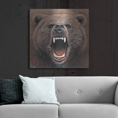 Luxe Metal Art 'Bear 2' by Harro Maass, Metal Wall Art,36x36