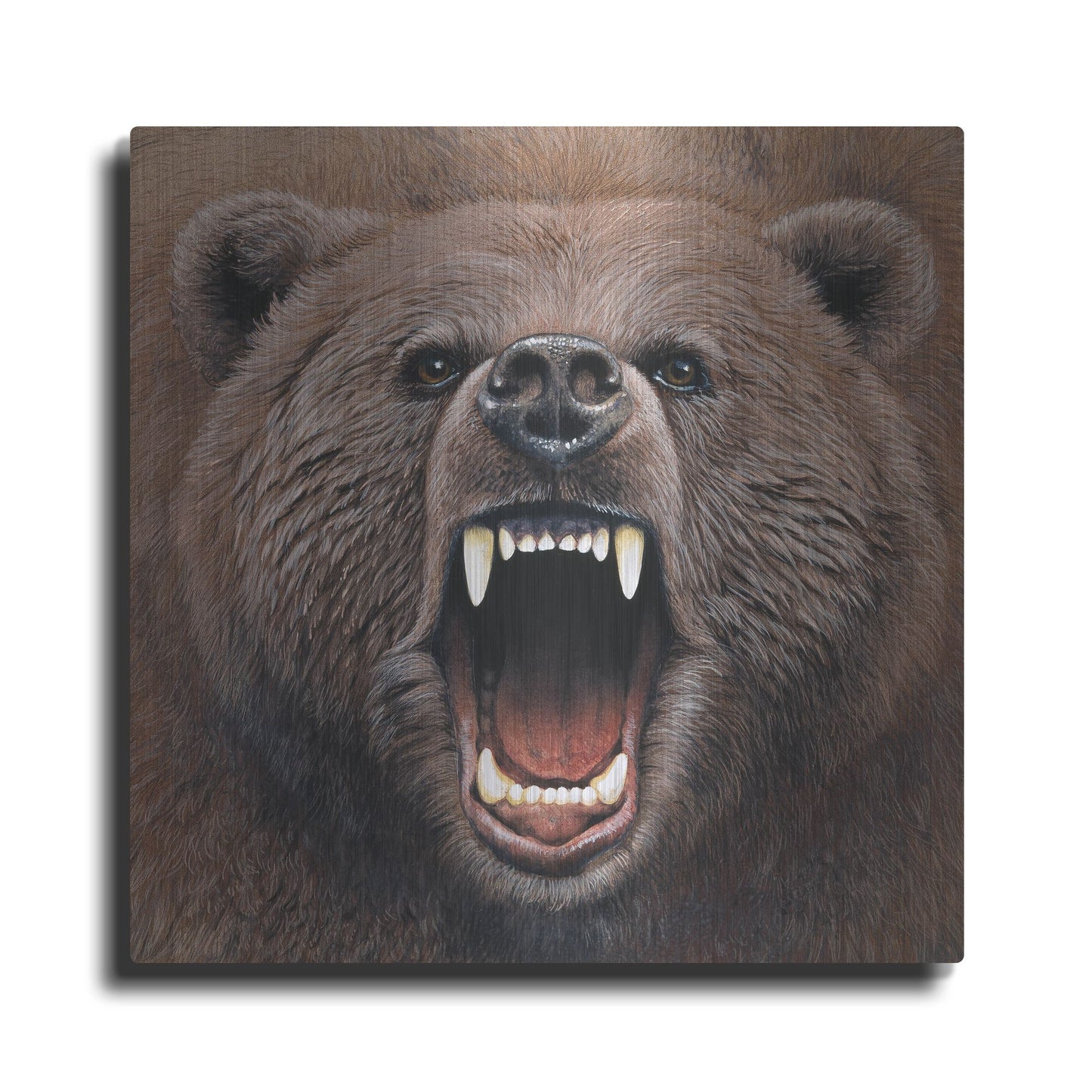 Luxe Metal Art 'Bear 2' by Harro Maass, Metal Wall Art