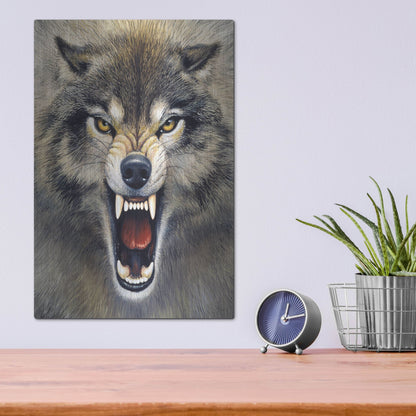 Luxe Metal Art 'Wolf' by Harro Maass, Metal Wall Art,12x16