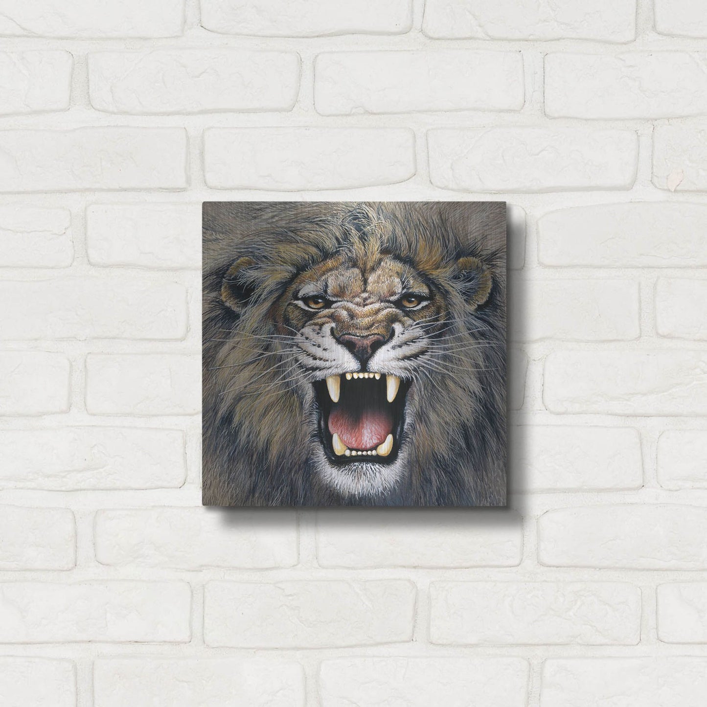 Luxe Metal Art 'Lion' by Harro Maass, Metal Wall Art,12x12