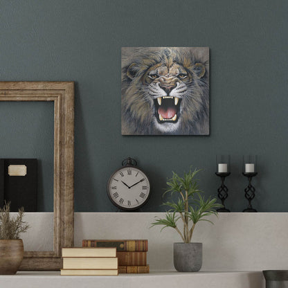 Luxe Metal Art 'Lion' by Harro Maass, Metal Wall Art,12x12