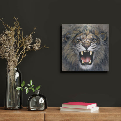 Luxe Metal Art 'Lion' by Harro Maass, Metal Wall Art,12x12
