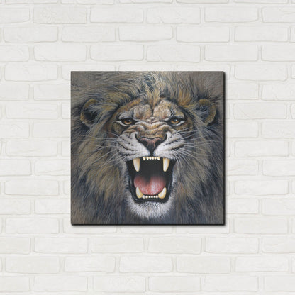 Luxe Metal Art 'Lion' by Harro Maass, Metal Wall Art,24x24