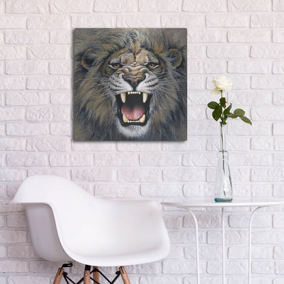Luxe Metal Art 'Lion' by Harro Maass, Metal Wall Art,24x24