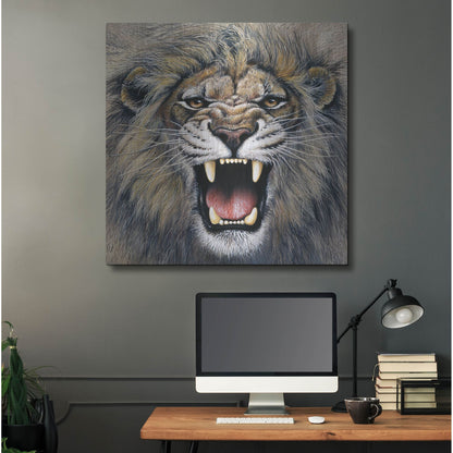 Luxe Metal Art 'Lion' by Harro Maass, Metal Wall Art,36x36