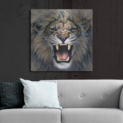 Luxe Metal Art 'Lion' by Harro Maass, Metal Wall Art,36x36
