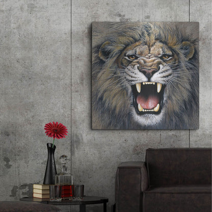 Luxe Metal Art 'Lion' by Harro Maass, Metal Wall Art,36x36