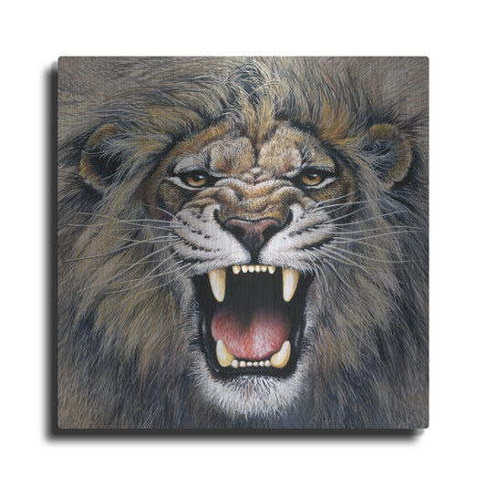 Luxe Metal Art 'Lion' by Harro Maass, Metal Wall Art