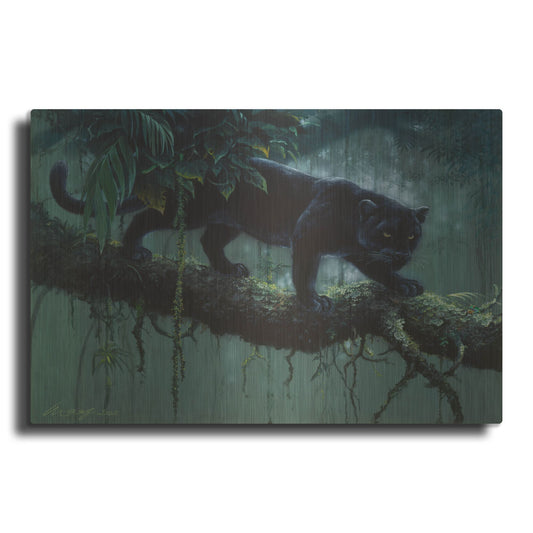 Luxe Metal Art 'Black Jaguar' by Harro Maass, Metal Wall Art