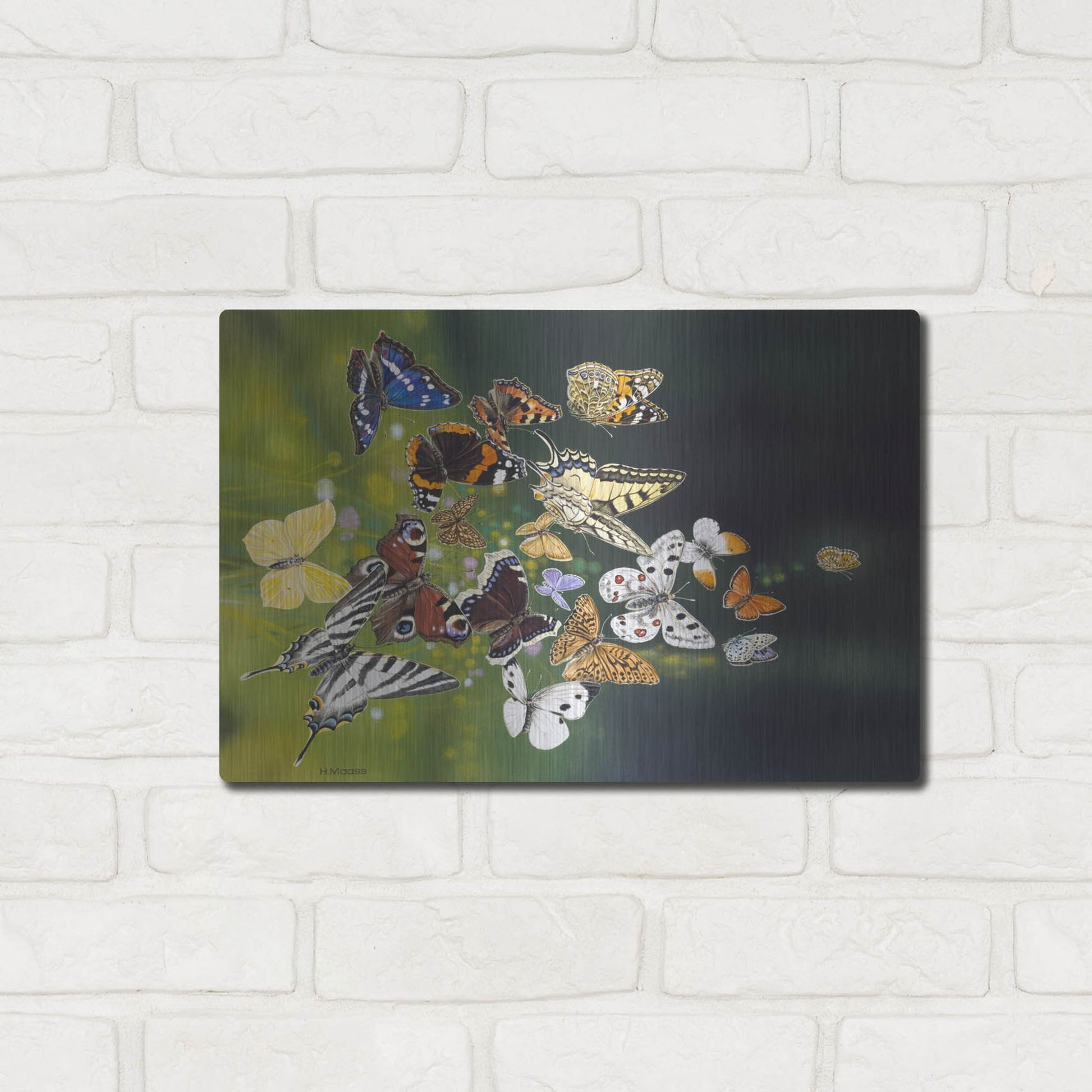 Luxe Metal Art 'Butterflies' by Harro Maass, Metal Wall Art,16x12