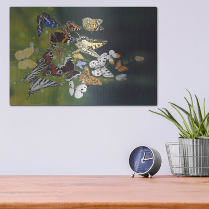Luxe Metal Art 'Butterflies' by Harro Maass, Metal Wall Art,16x12