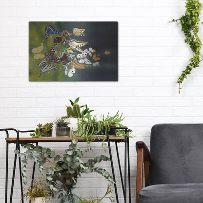 Luxe Metal Art 'Butterflies' by Harro Maass, Metal Wall Art,16x12