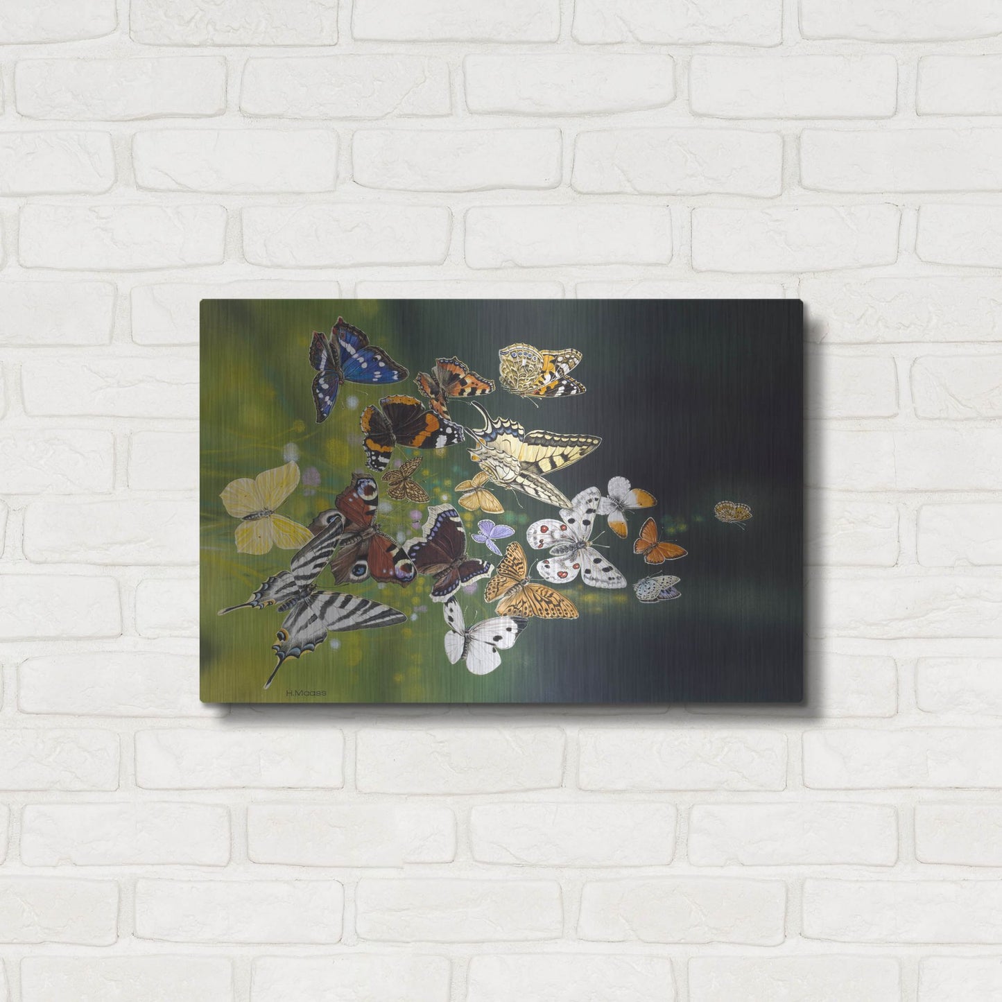 Luxe Metal Art 'Butterflies' by Harro Maass, Metal Wall Art,24x16