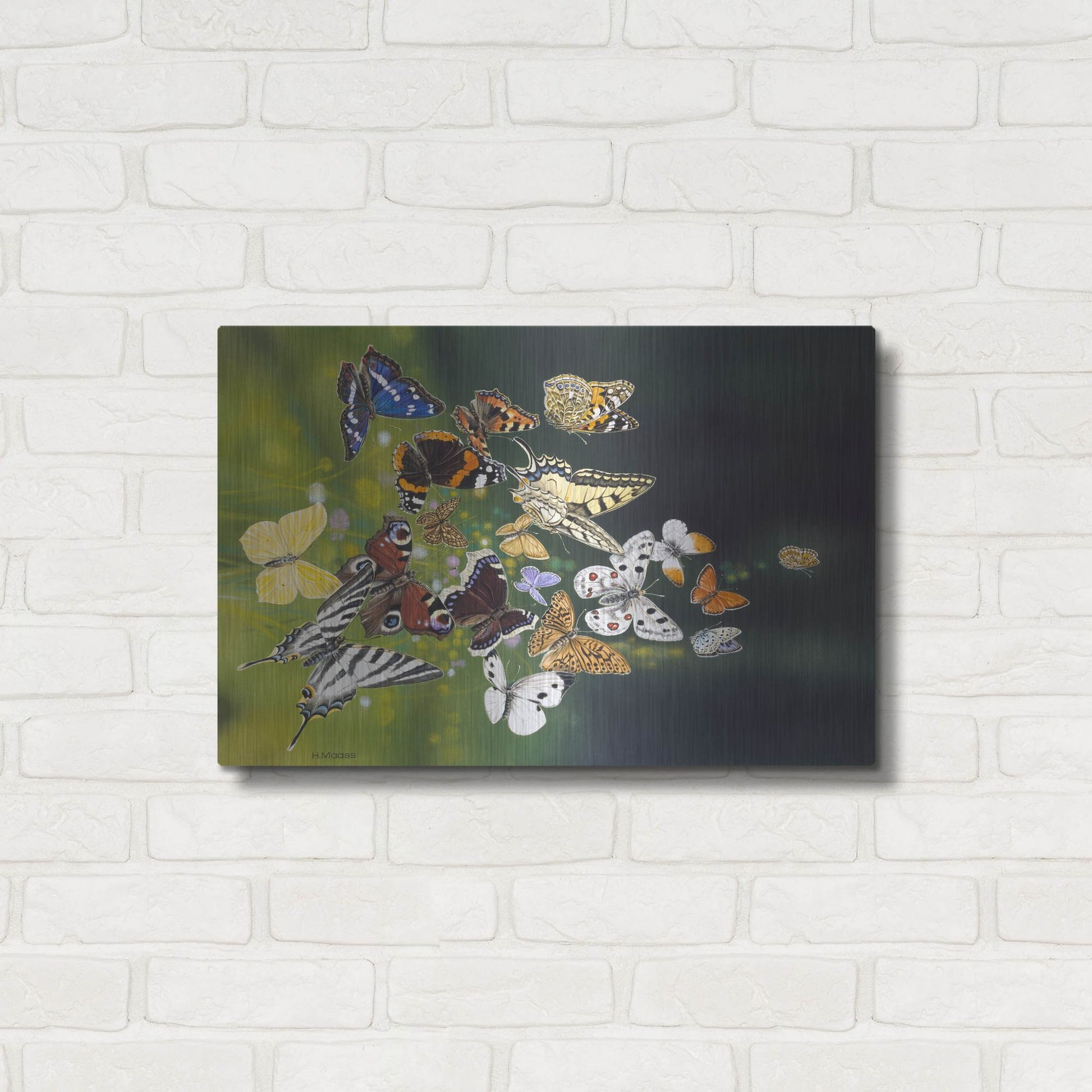 Luxe Metal Art 'Butterflies' by Harro Maass, Metal Wall Art,24x16