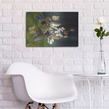 Luxe Metal Art 'Butterflies' by Harro Maass, Metal Wall Art,24x16