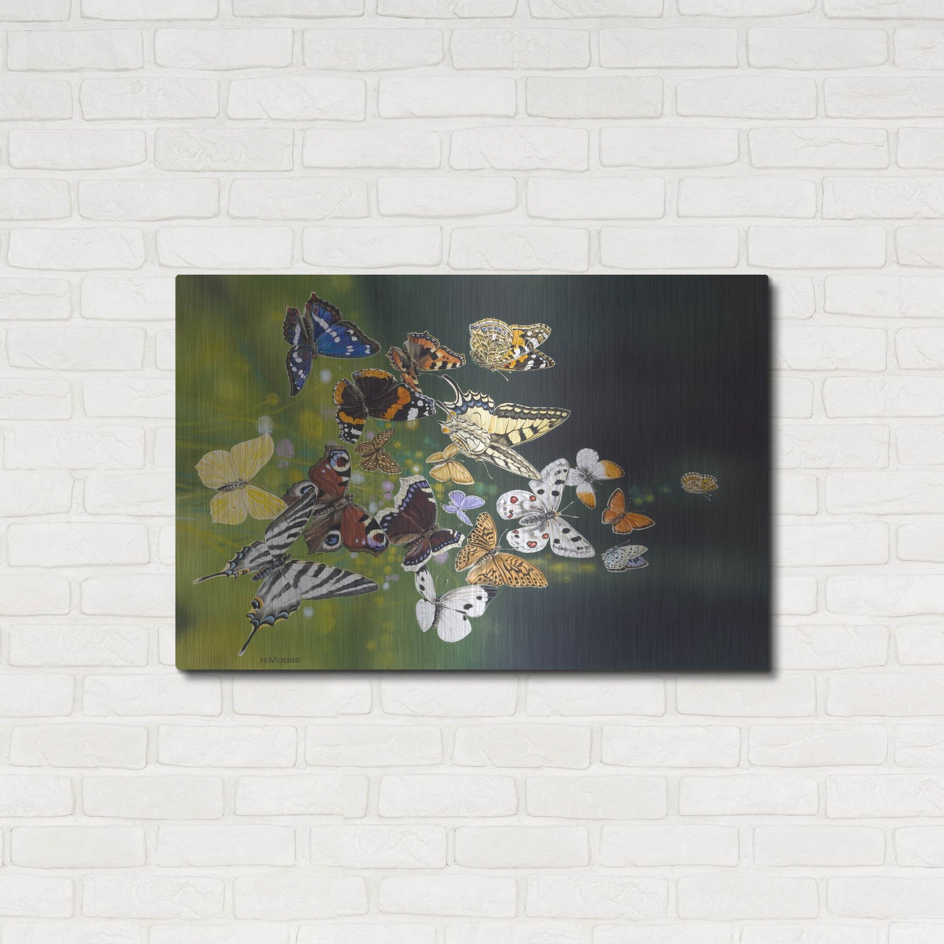 Luxe Metal Art 'Butterflies' by Harro Maass, Metal Wall Art,36x24