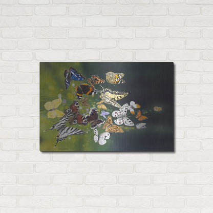 Luxe Metal Art 'Butterflies' by Harro Maass, Metal Wall Art,36x24