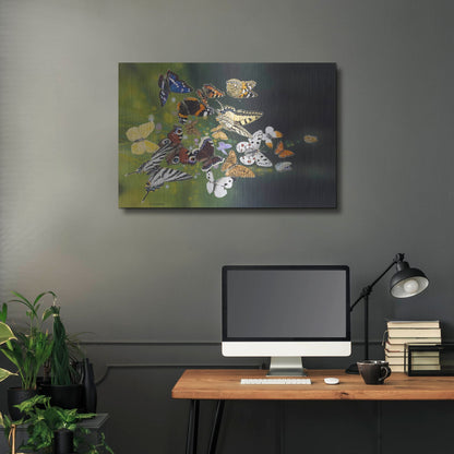Luxe Metal Art 'Butterflies' by Harro Maass, Metal Wall Art,36x24