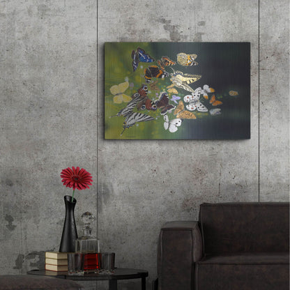 Luxe Metal Art 'Butterflies' by Harro Maass, Metal Wall Art,36x24