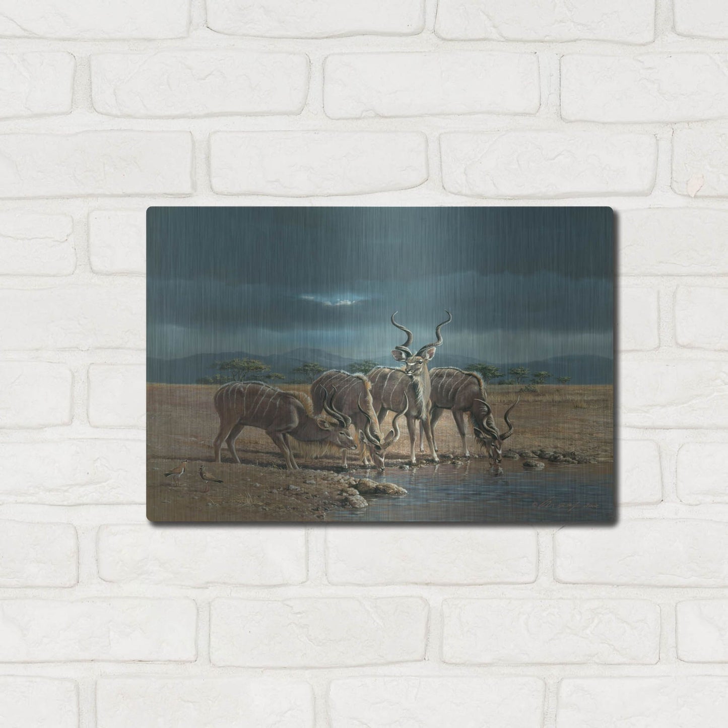 Luxe Metal Art 'Greater Kudus' by Harro Maass, Metal Wall Art,16x12