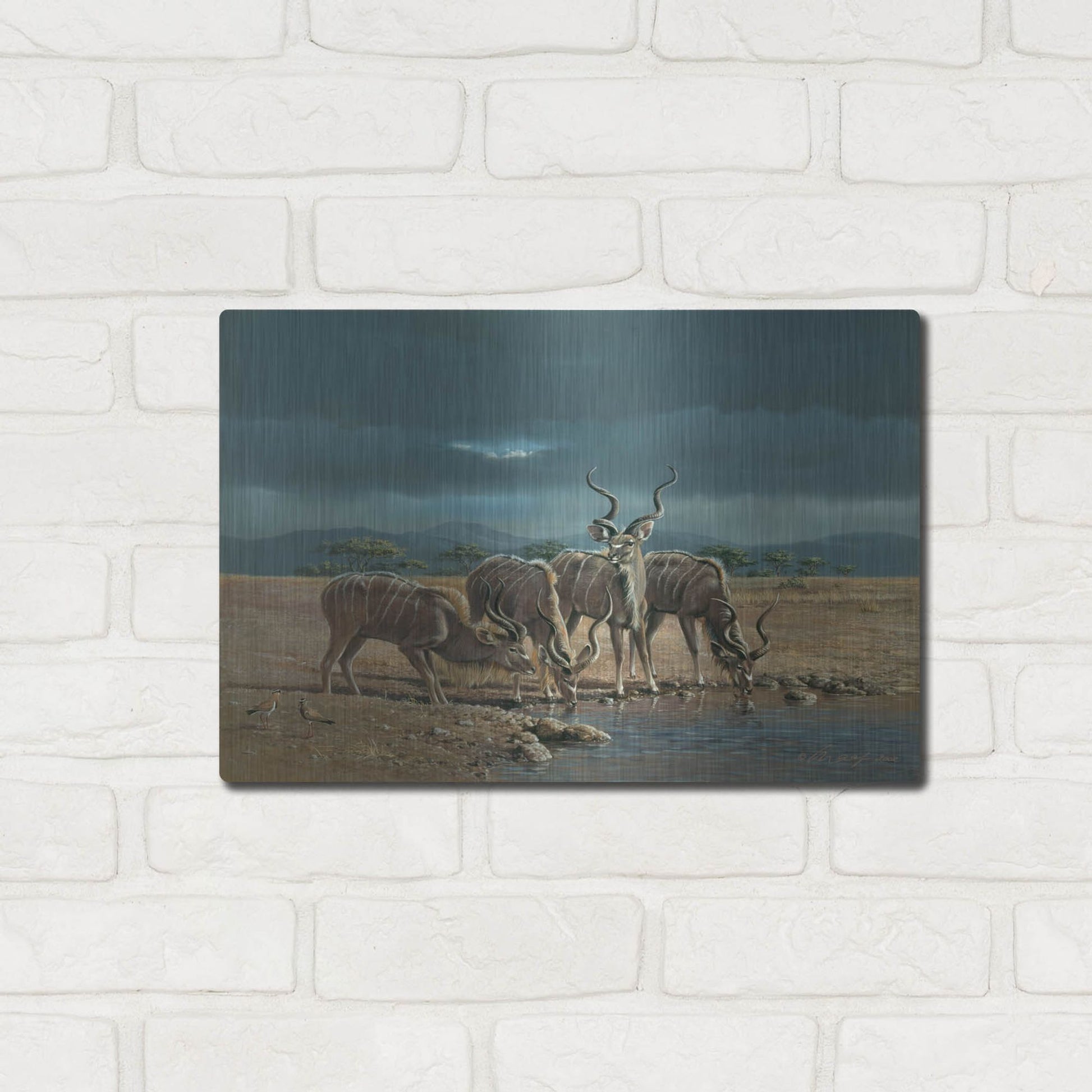 Luxe Metal Art 'Greater Kudus' by Harro Maass, Metal Wall Art,16x12