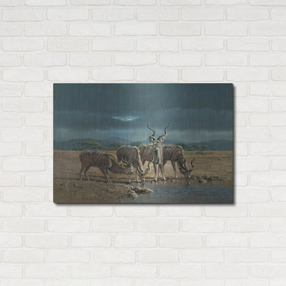 Luxe Metal Art 'Greater Kudus' by Harro Maass, Metal Wall Art,36x24