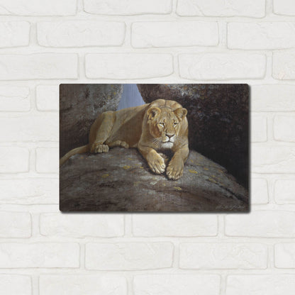 Luxe Metal Art 'Lioness' by Harro Maass, Metal Wall Art,16x12