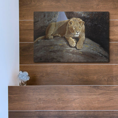 Luxe Metal Art 'Lioness' by Harro Maass, Metal Wall Art,16x12