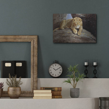 Luxe Metal Art 'Lioness' by Harro Maass, Metal Wall Art,16x12